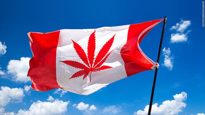 os clientes do cannabis de Canadá drogam o mercado