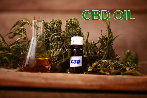 Últimas notícias da empresa sobre Uma estreia informativa no mercado legal do CBD de China