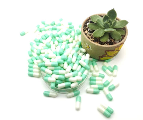 Bom preço As cápsulas vazias farmacêuticas do gel da gelatina HPMC da categoria separaram on-line